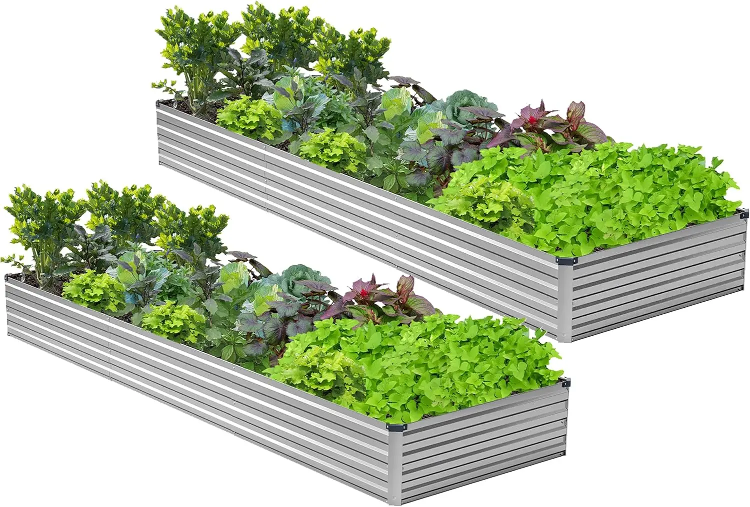 

2-Pack Galvanized Raised Garden Bed 12x3x1ft, Metal Planter Box for Vegetables, Flowers, Herbs