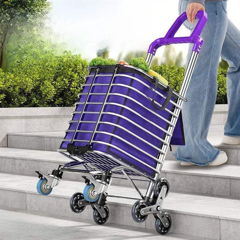 chariot-de-courses-portable-et-leger-avec-tige-de-traction-pour-monter-les-escaliers-ideal-pour-les-personnes-agees-pour-l'achat-de-legumes-chariot-compact