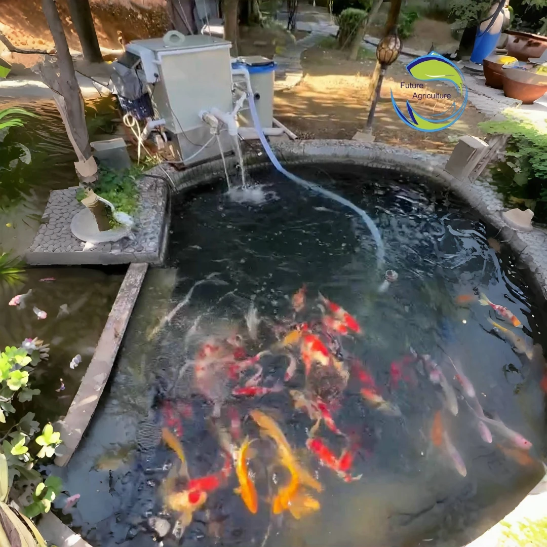 AIROW AIROW Automatyczny Duży  – Aquarium Fish Koi recenzja i cena