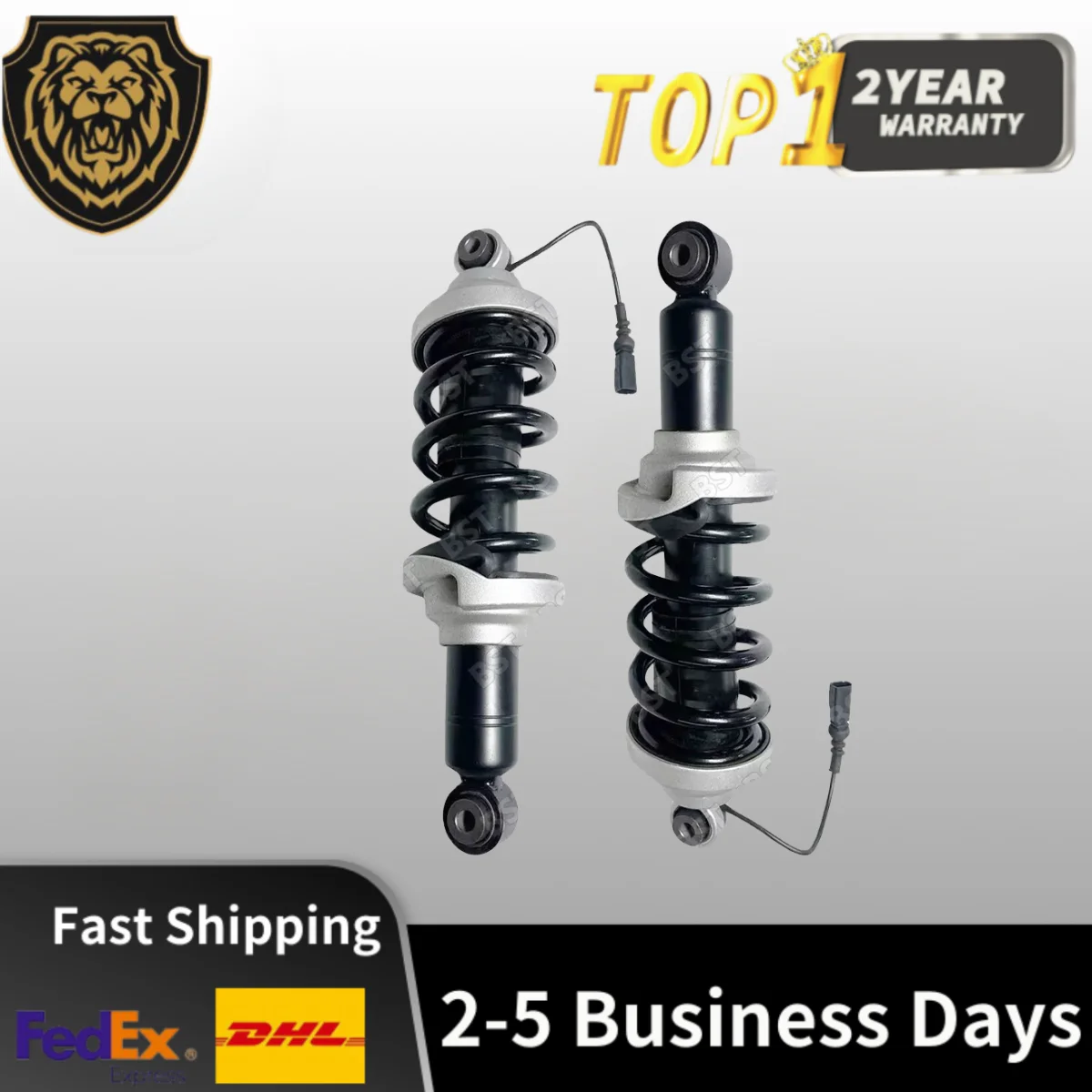 Pair Rear Shock Struts Assys Magnetic Ride For Audi R8 Spyder 4S3 4S9 2015-2021 4S0512019 4T0512019 4T0512019L 4T0512019Q