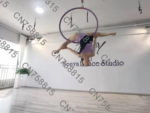 

commercial performances, rings, pole dance, rings, acrobatic props, aerial dance, yoga，Rock climbing acrobatics, fitness