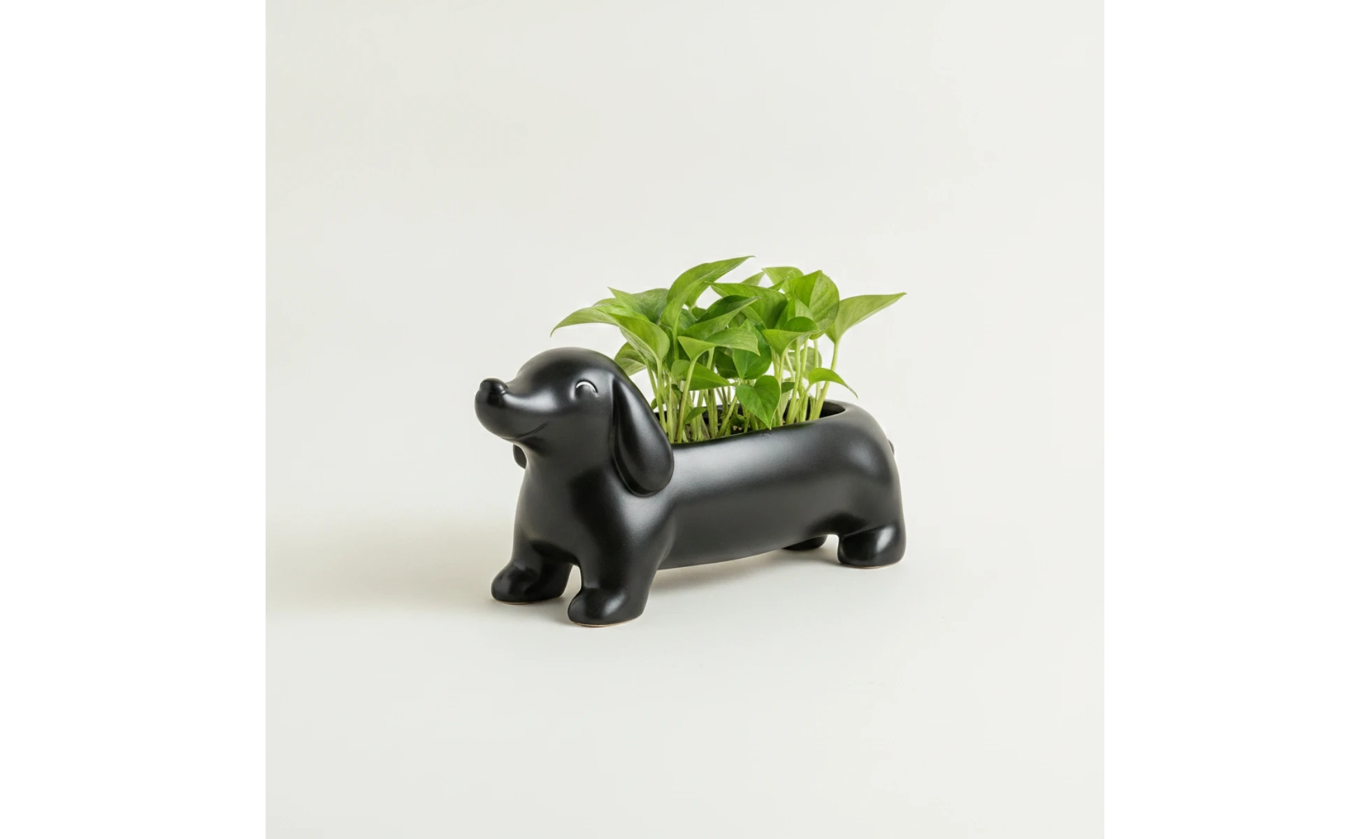 https://ae-pic-a1.aliexpress-media.com/kf/S41439310c6e342aba6a49130eda2adebB.jpg Dachshund Planter Cute Dachshund Plant Pot Dog-Shaped Planter Decorative Whimsical for Desk, Shelf