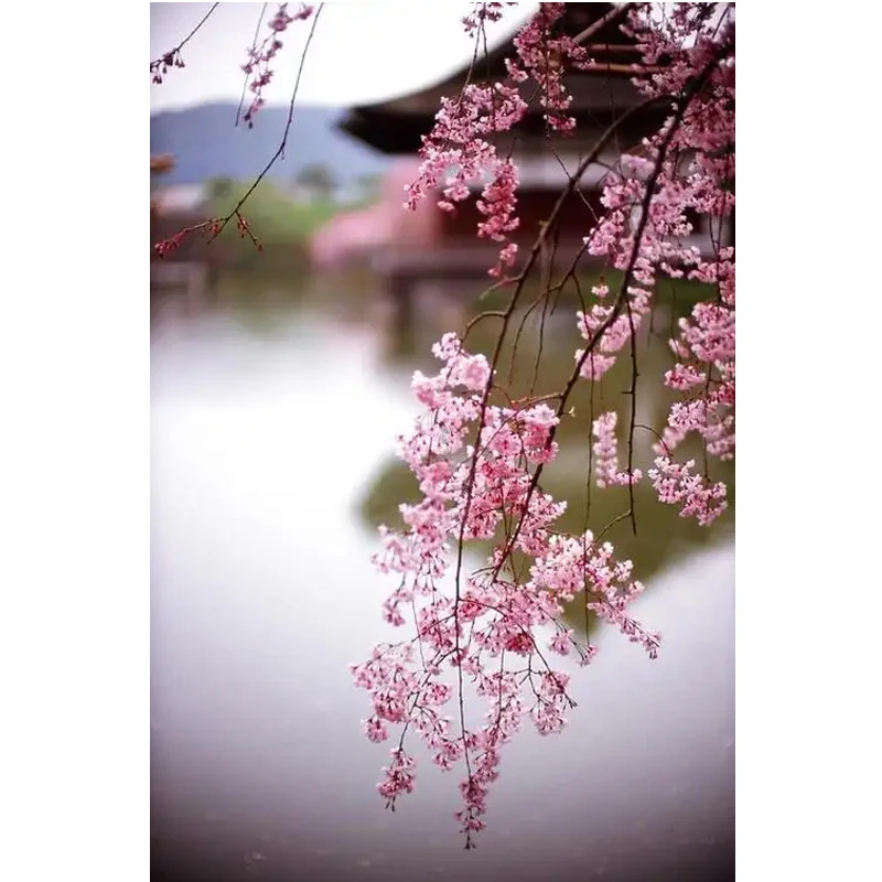 

1000W Foldable Solar Panel Portable Solar Cell Folding Bag With USB+DC 18V For Outdoor Hiking Camping Mobile Phone Charging