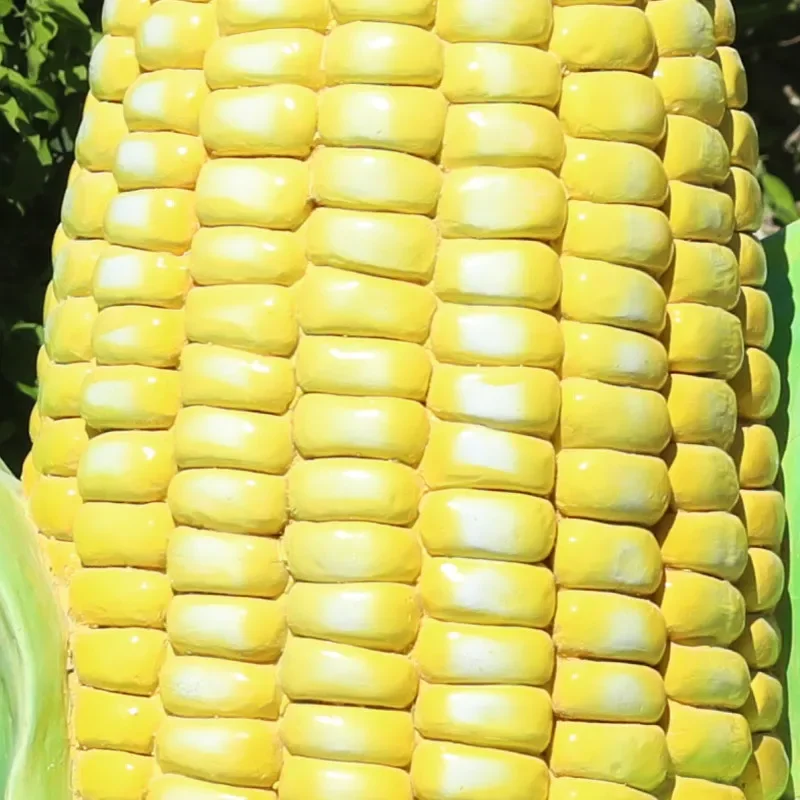 محاكاة الخضار والفواكه زخرفة FRP الذرة الفلفل البروكلي النحت في الهواء الطلق ديكور الغابات في الحديقة البيئية