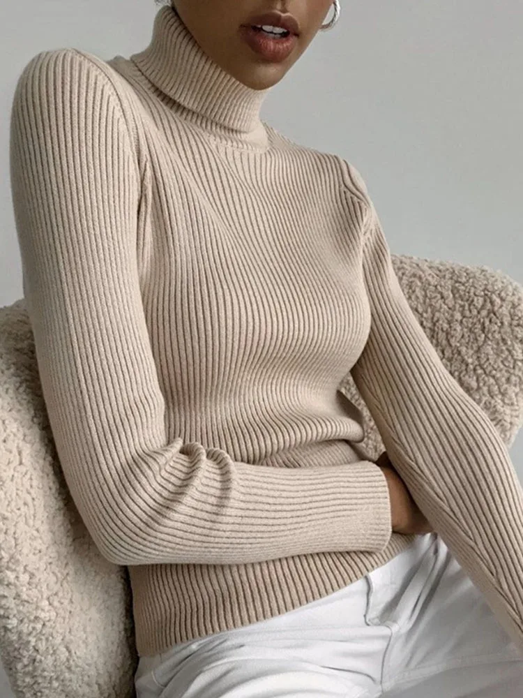 

2024 Basic Turtleneck Women Sweaters Autumn Winter Tops Slim Women Pullover Knitted Sweater Jumper Soft Warm Pull
