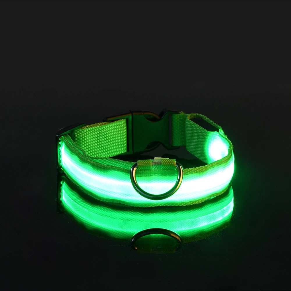 Nylon LED Night Safety Flashing Glow In The Dark Dog Leash Collar