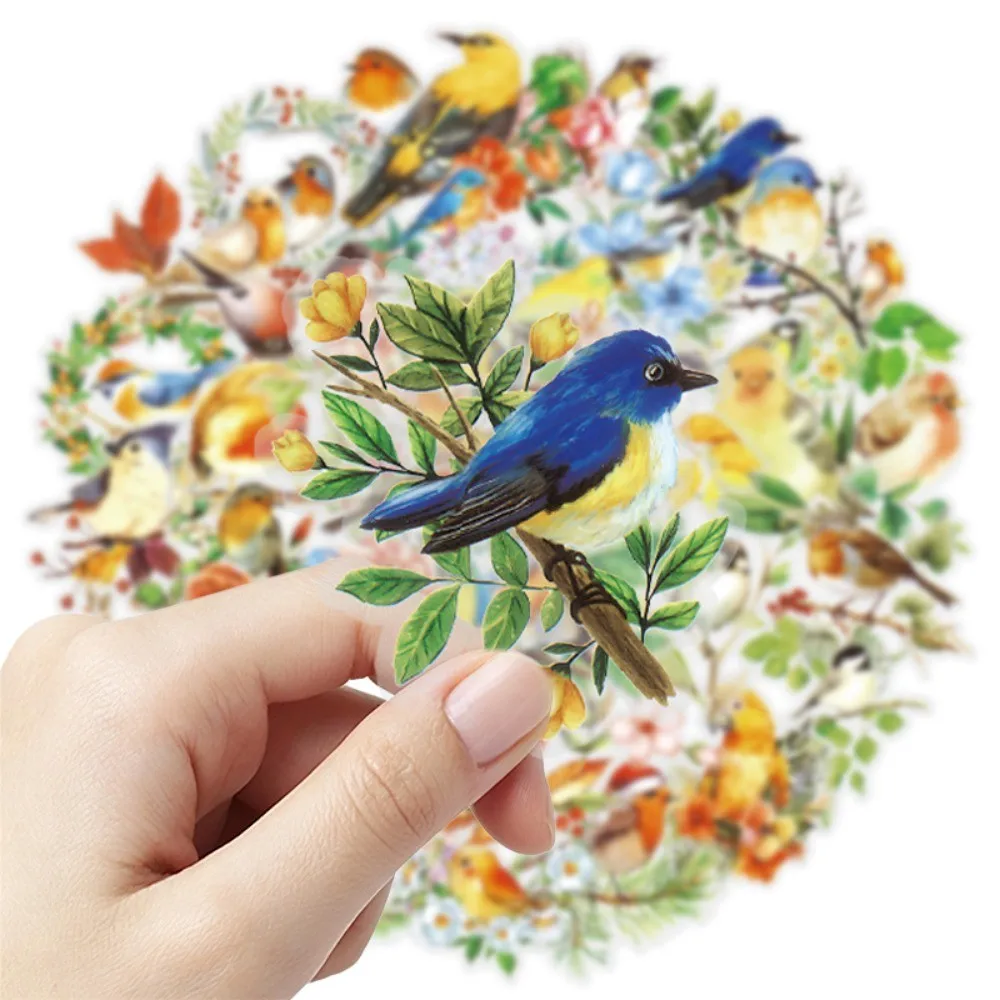 Avian Graffiti Sticker Pack 50 Sheets, Transparent PET Cute Bird Stickers for Scrapbook and Daily Gadget Giajar Sticker Store