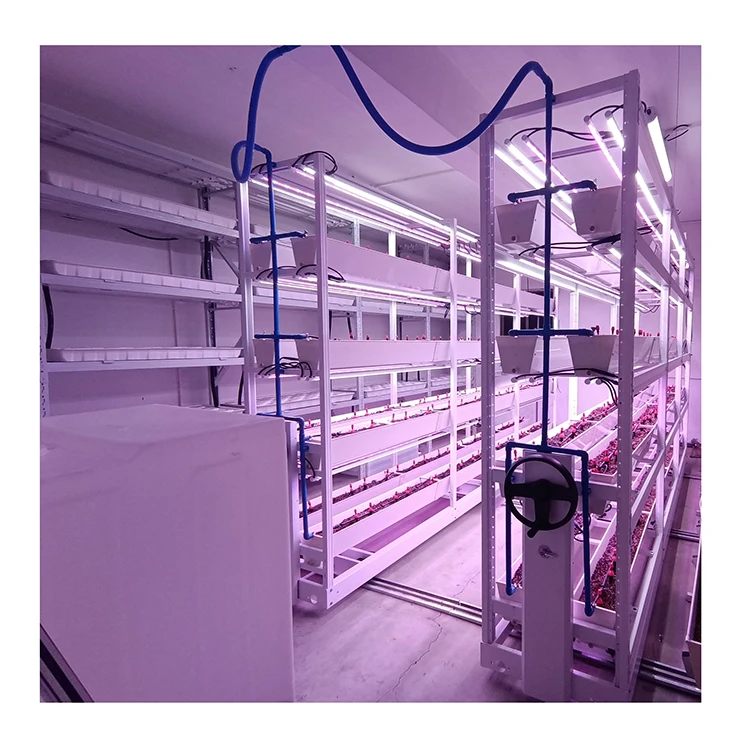 

2025Large Hydroponic Vertical Grow Rack System Mobile Flood Table Steel Construction for Agriculture and Greenhouses
