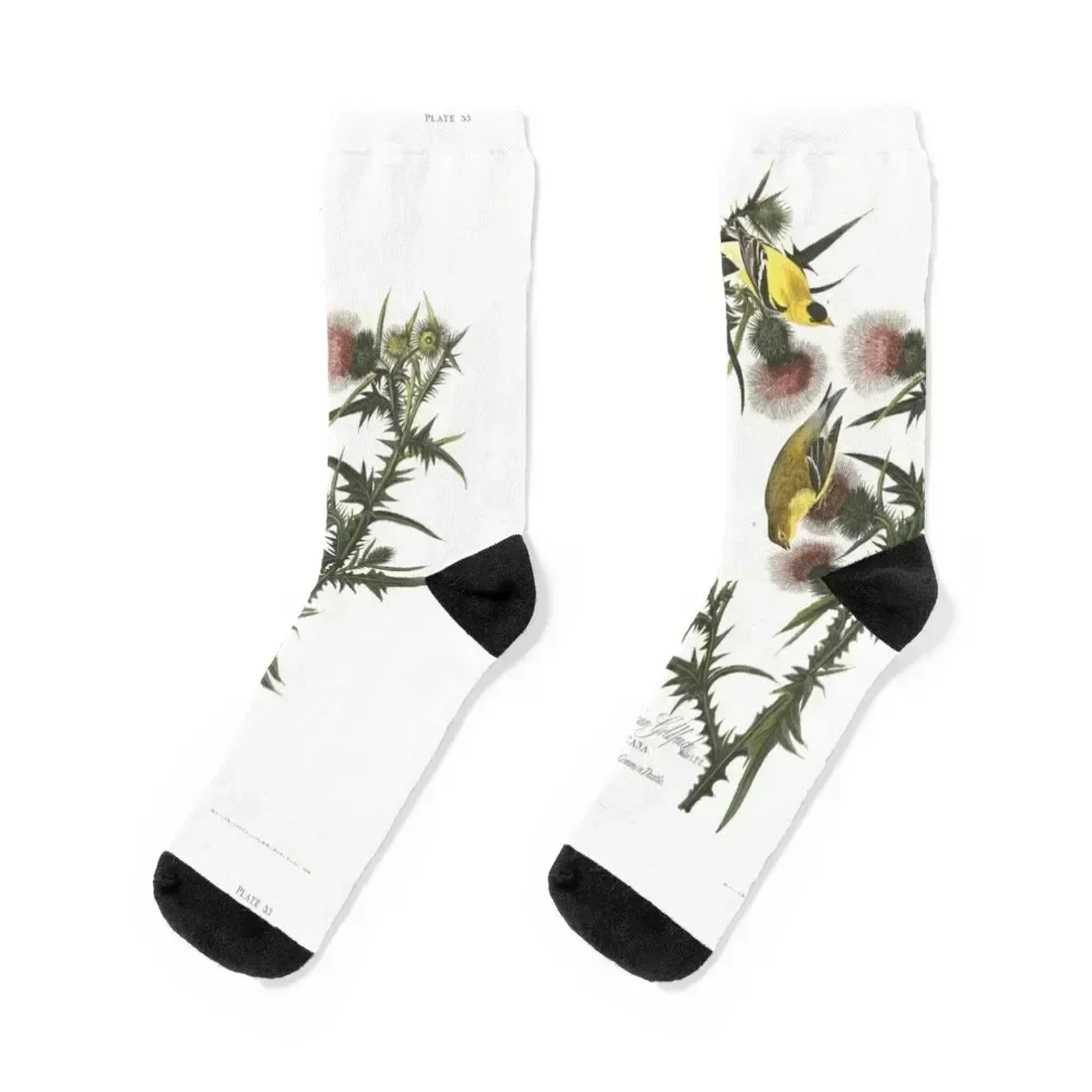 

Носки Goldfinch and Thistle, японские модные новогодние чулки, мужские носки с подогревом, детские носки для мальчиков, женские