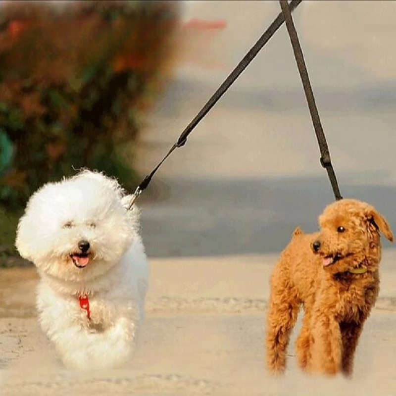 

pet dog Elastic Nylon running strap double-ended leash Puppy supplies Cat leash belt chain pet dog walking accessories