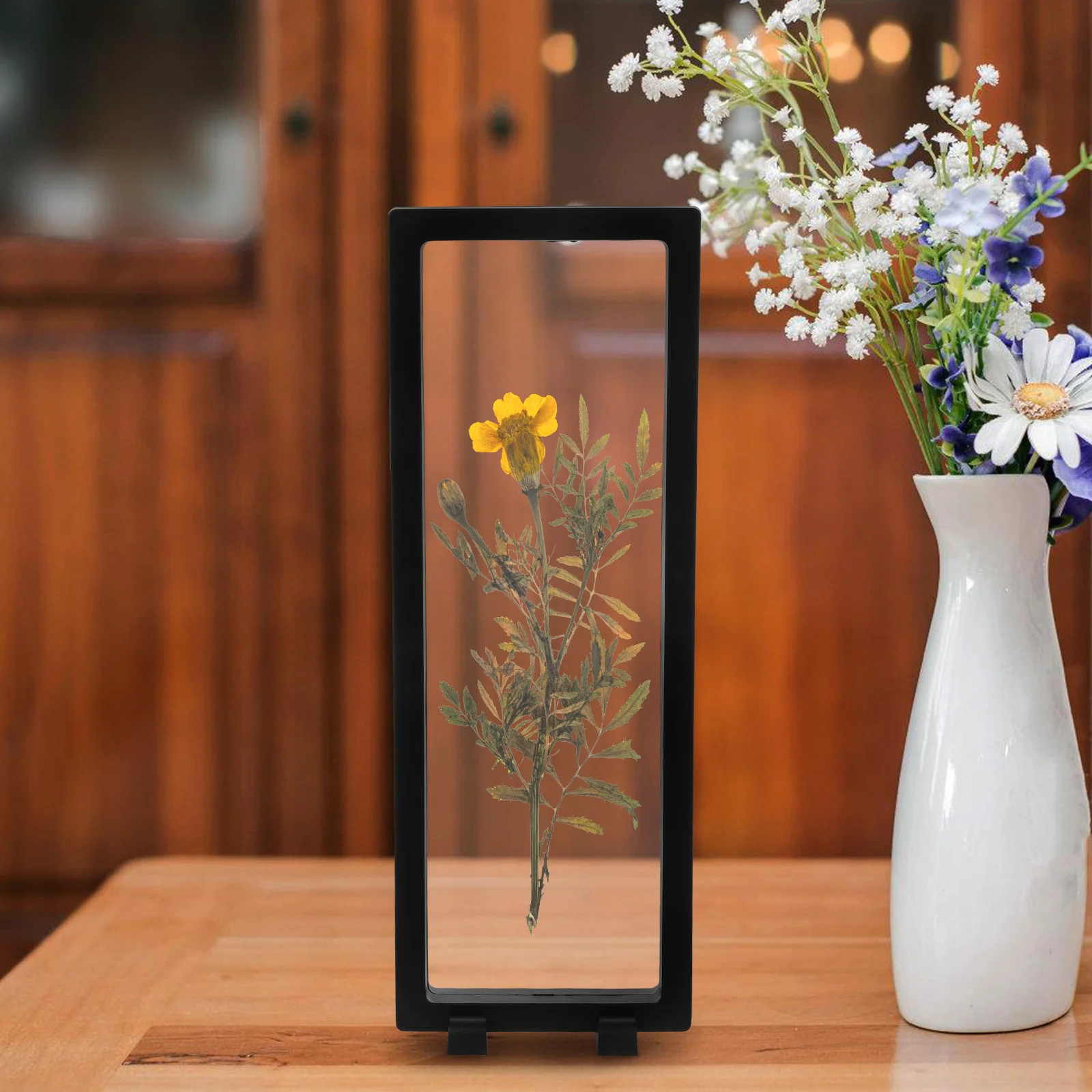 

Clear Specimen Display Frame 3D Floating Case For Plants Animals Crystals Jewelry Coins Shells Rocks Insects Arrowheads