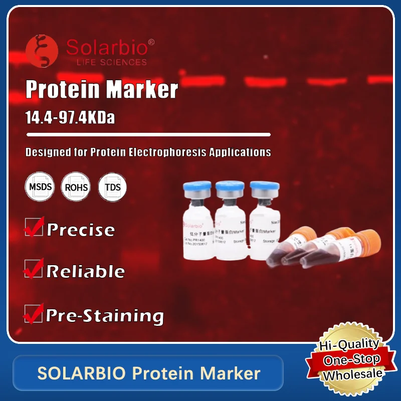 

SOLARBIO Protein Marker for Low Molecular Weight Protein Detection in Electrophoresis and Laboratory Research Original Product