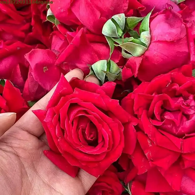 

High Quality Big Rose Dried Flower For Soap Candle Essence Mix Flower Making Materials Home Fragrance Home Wedding Decoration