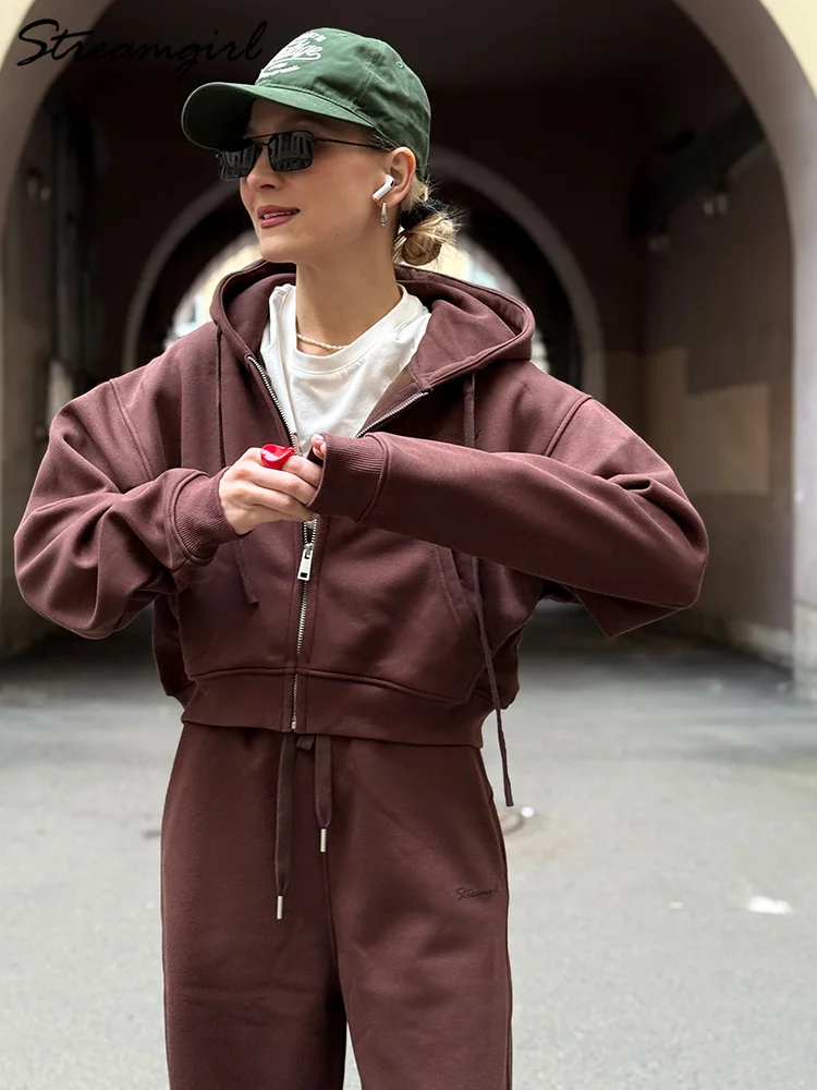 النساء رياضية الشتاء الصوف Sweatsuit البني الدافئة المحاصيل سستة هوديس و Sweatpants مجموعة للنساء 2 قطعة المخملية السراويل مجموعات