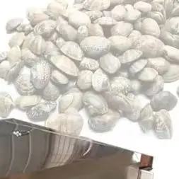 

Full Automatic Industrial Leaf Vegetable Washing Machine/Fruit And Vegetable Washing Machine Equipment