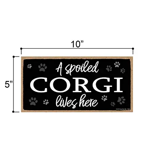 Honey Dew Gifts A Spoiled Corgi Lives Here  Hanging Corgi Stuff, Wall Art, Decorative Wood Sign Home Decor, Corgi Gifts