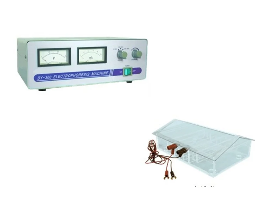 High Quality Biochemical Analysis System Automatic Laboratory Electrophoresis
