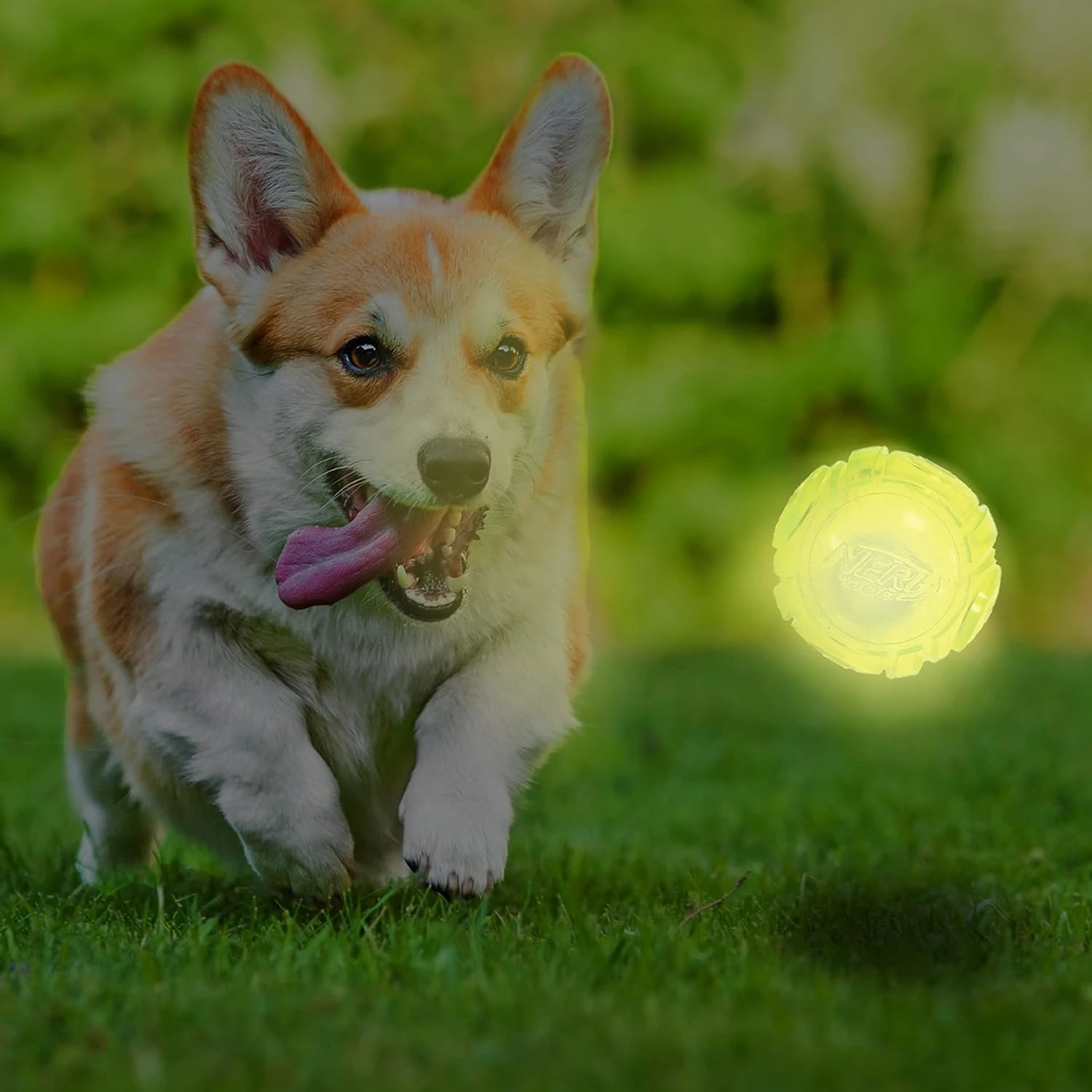 

Interactive Glow Ball Dog Toy - Durable and Colorless - Lightweight and water-resistant for engaging play with pets of all sizes