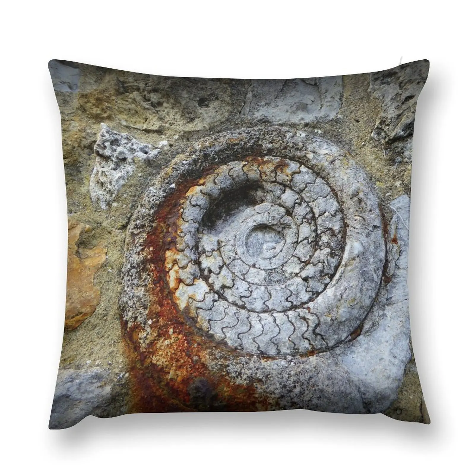 Jurassic Fossil in Lyme Regis Throw Pillow Decorative Cushion Christmas Pillow Pillowcases Bed Cushions Sitting Cushion pillow