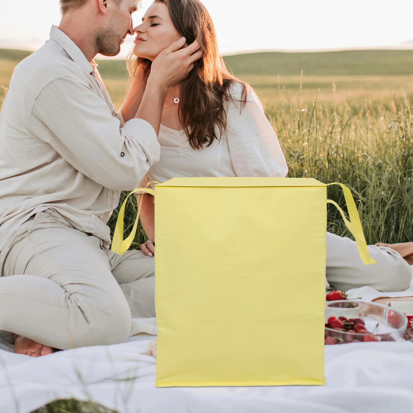 حامل كعكة معزول مع تصميم حقيبة حرارية ومقابض شديدة التحمل وسحاب للإغلاق لحفلات النزهة ونقل الطعام الجامبو #1