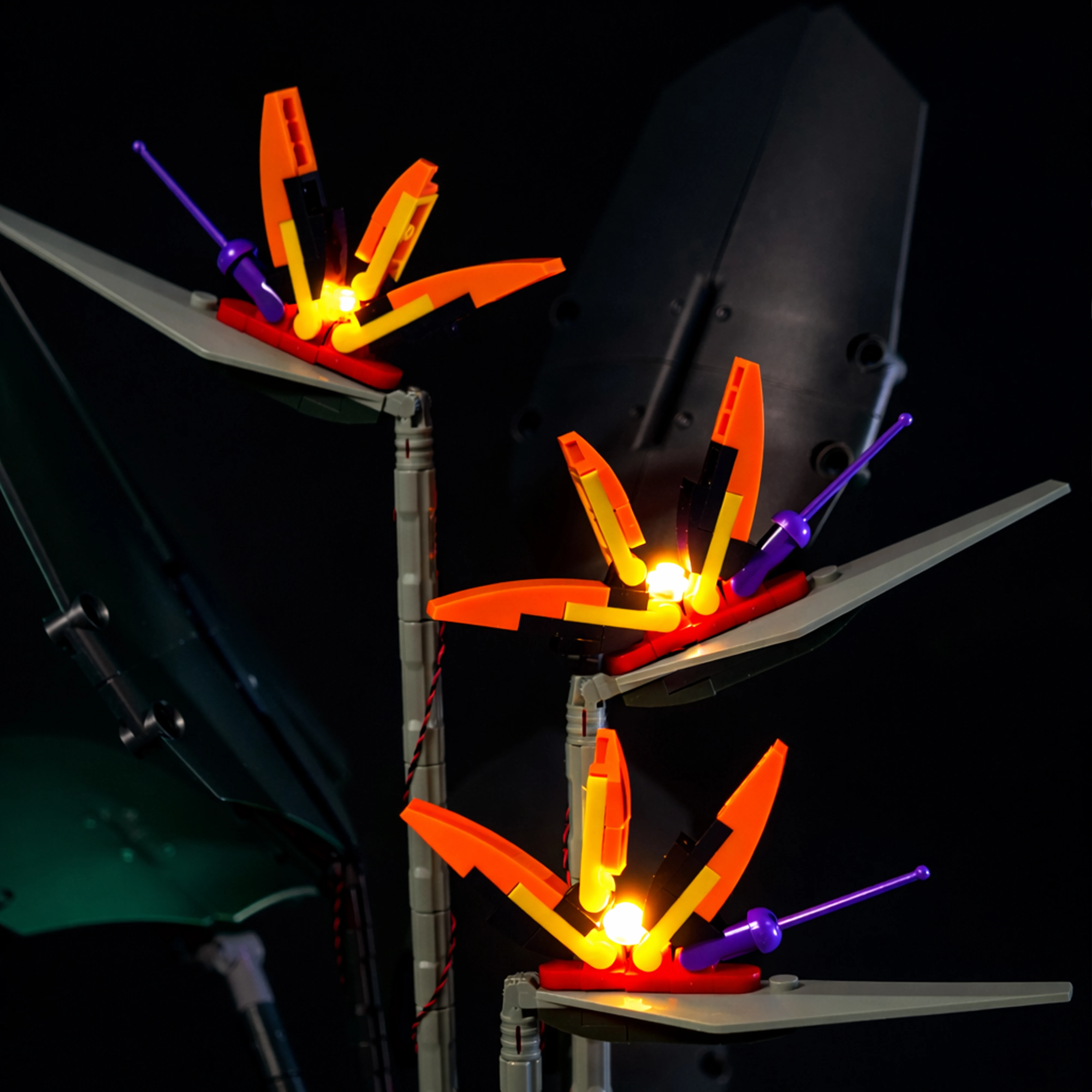 LED Lighting Kit Compatible with 10289 Bird of Paradise Plant Model Decorative Light Set for Display (Lights Only) view 4