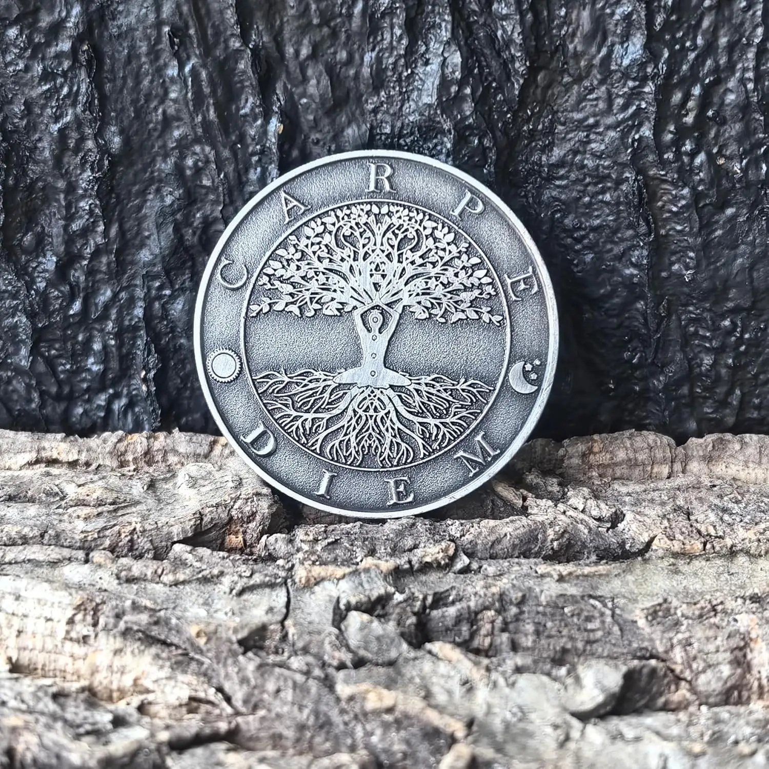 عملة Carpe Diem & Memento Mori Challenge - رمز سبائك الزنك مقاس 1.57 بوصة لليقظة الذهنية وانعكاس الحياة والدافع