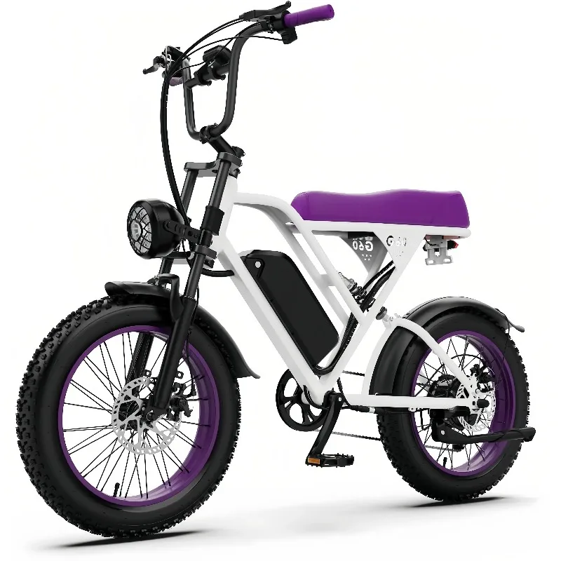 

SXLL G60 48v electric mountain bike single pedal removable battery 25Ah capacity maximum load 150kg two-wheel scooter
