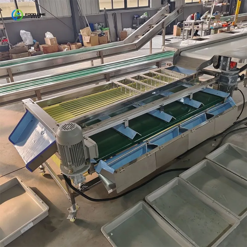 Commercial Grade Automatic Fruit and Vegetable Sorting Production Line for Strawberries FL Customized
