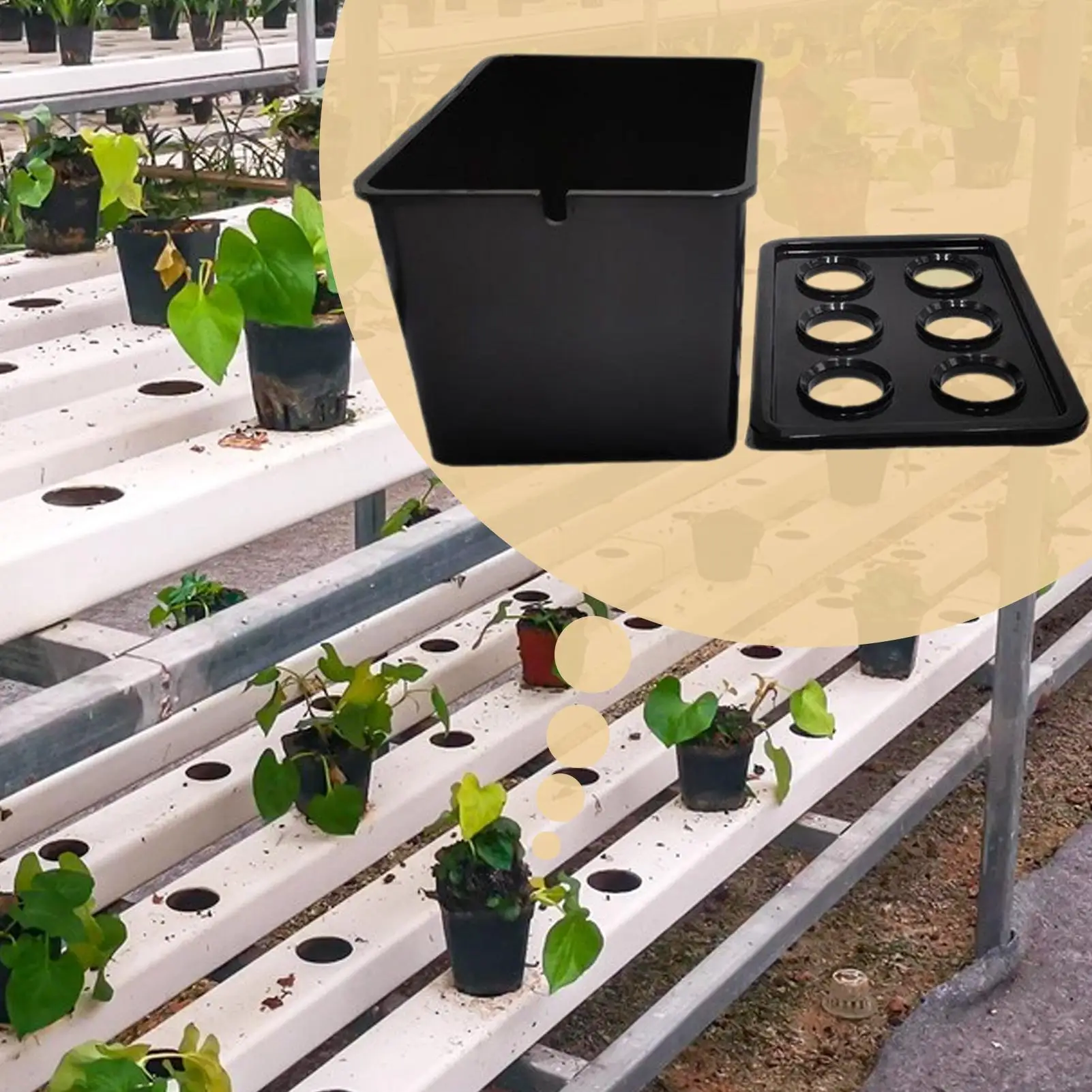 مجموعة نظام الزراعة المائية نظام زراعة 6 فتحات صندوق زراعة الحديقة للخضروات والزهور والفواكه في الأماكن المغلقة والخارجية #4