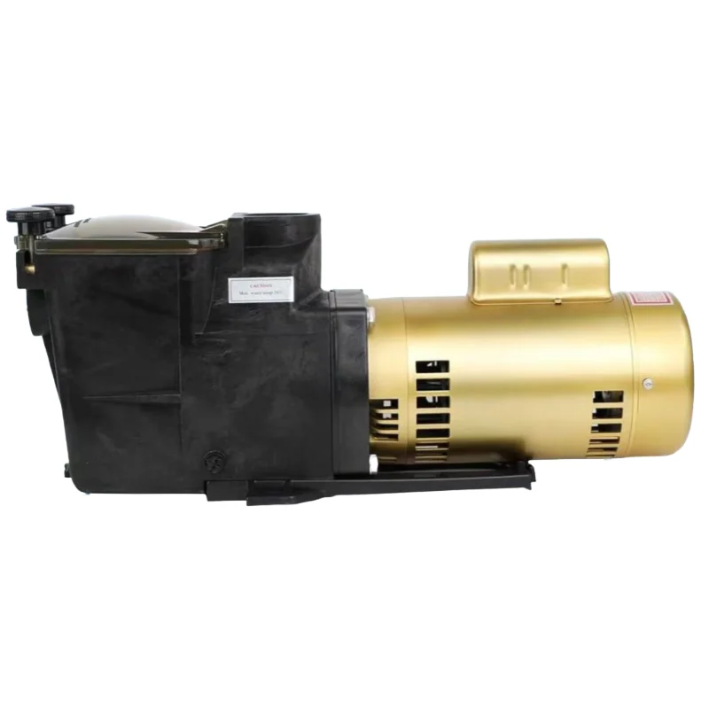 

High-Efficient 220V Brass Body Water Pump Equipment Durable Pool Pumps for Swimming Pool Use