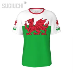 Unisex Nation T-shirt Wales Flag Welsh Cymru T-shirts jersey For Men Women Soccer Football Fans Gifts Custom clothes tee