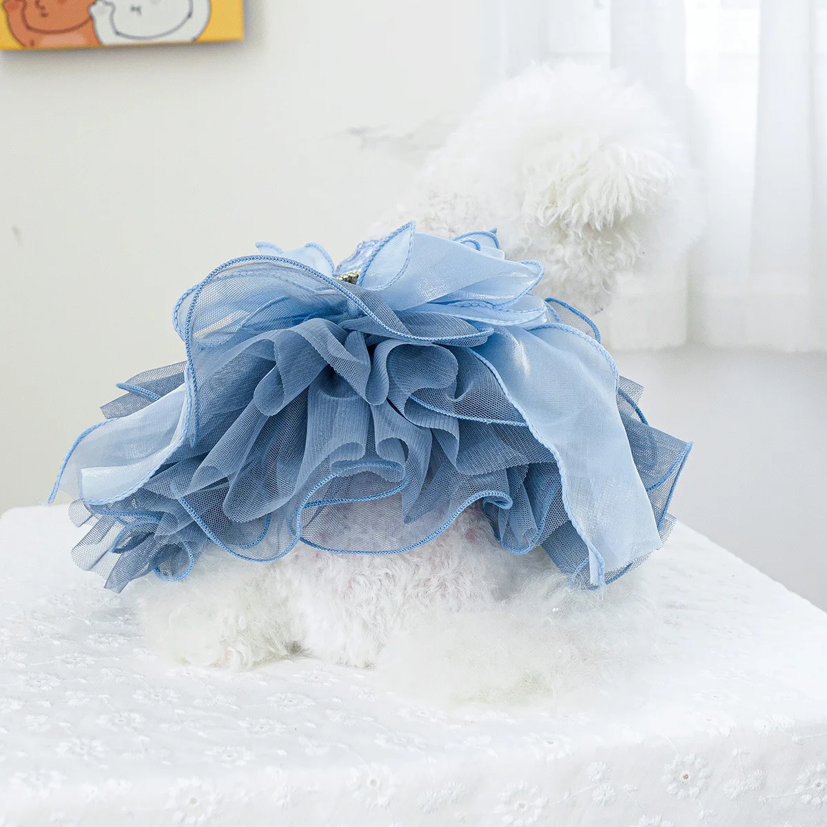 Blue Galaxy wedding dress for dog and cat, pet clothing