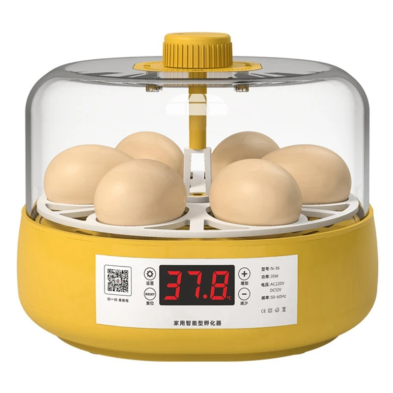 Mini Bird Incubator Automatic Home Incubator Automatic Incubator Electric Children's Chicken Bird, 6 Eggs,EU Plug Durable