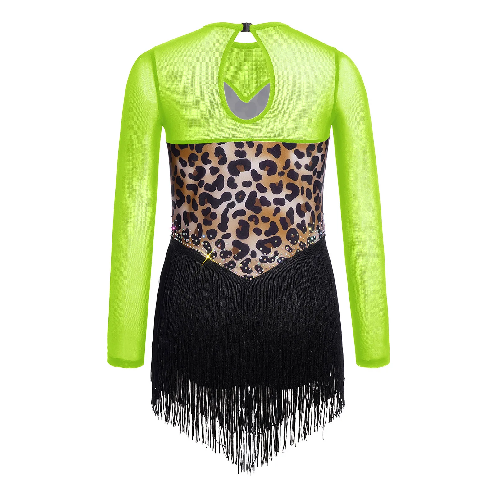 Kids Girls Leopard Print Fringe Latin Rumba Dance Costume Long Sleeve Keyhole Back Mesh Patchwork Shiny Rhinestone Tassel Dress view 4
