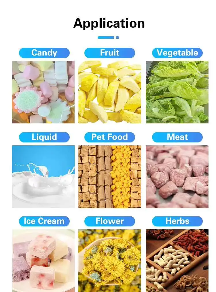 Household Candy, Fruit, Vegetable Commercial Food Dryer, Vacuum Freeze Dryer