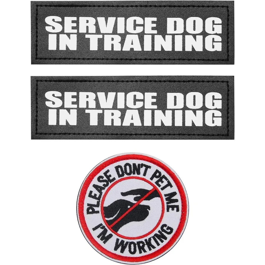 Service Dog In Trai…