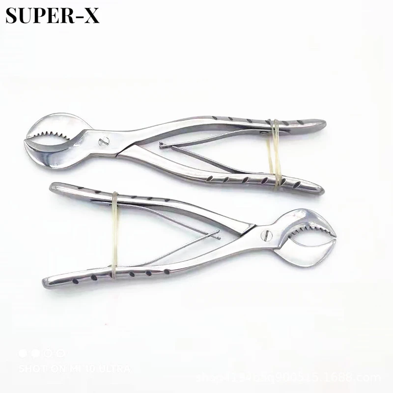 

1Pcs Dental Plaster Shears Scissiors S/L Stainless Steel Forceps Gypsum Pliers and Teeth Technology Equipment Dentistry Material