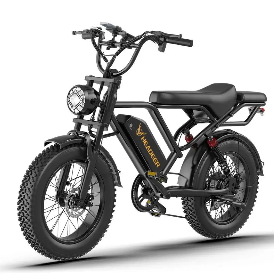 750W elektrische fiets 48V 20Ah, 20 inch dikke banden, dubbele vering, schijfremmen, off-road commuter e-bike voor volwassenen
