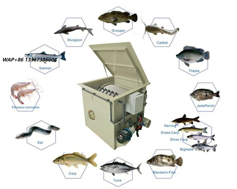 Koi Pond Filter Aquaculture Fish Farming RAS Equipment Rotary Drum Filter