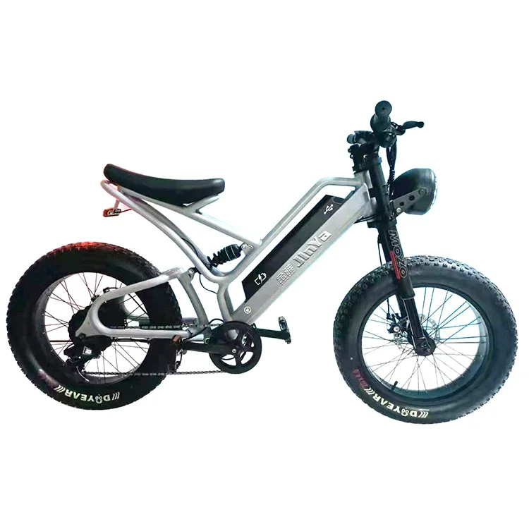 

Fat Tyres Electric Bicycle 20 Inch Fat Tire 500w Ebike 48v Electric Bike