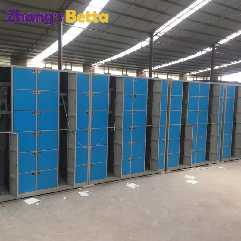 Indoor Metal Cabinet Storage Racks, Fitness Locker, Gym, School, Playground, Supermarket, Hot Sale