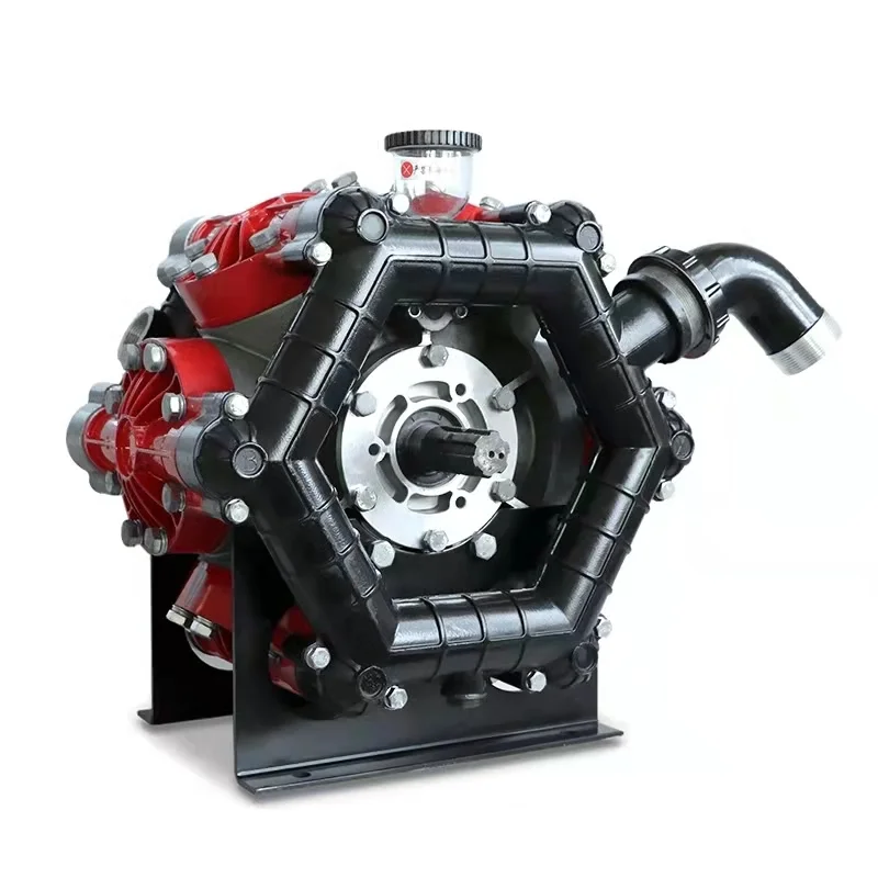 

Agricultural High-Pressure Diaphragm Sprayer Pump Trigger Mechanism Dosing Spraying Equipment for Farm Use