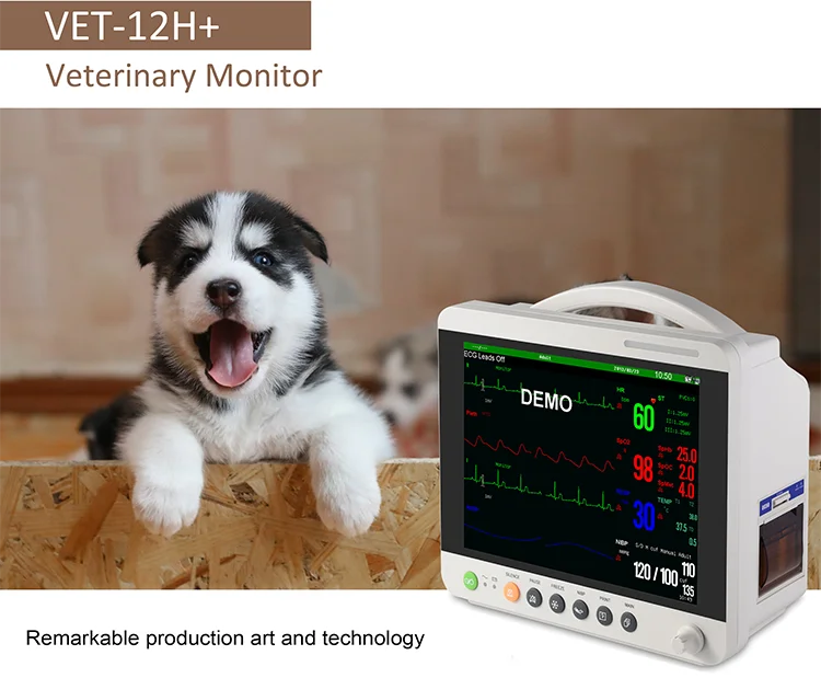 High-Quality Veteri…