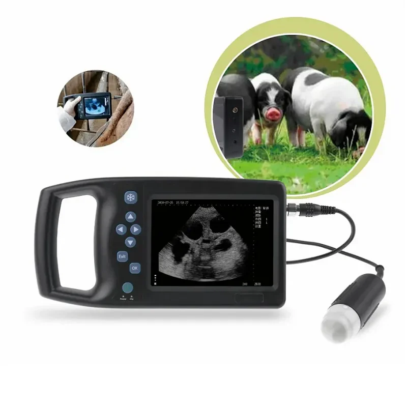 

Veterinary Portable Digital Diagnostic ultrasound Equipment vet ultrasound scanner Ultrasound for Pig Sheep Goat