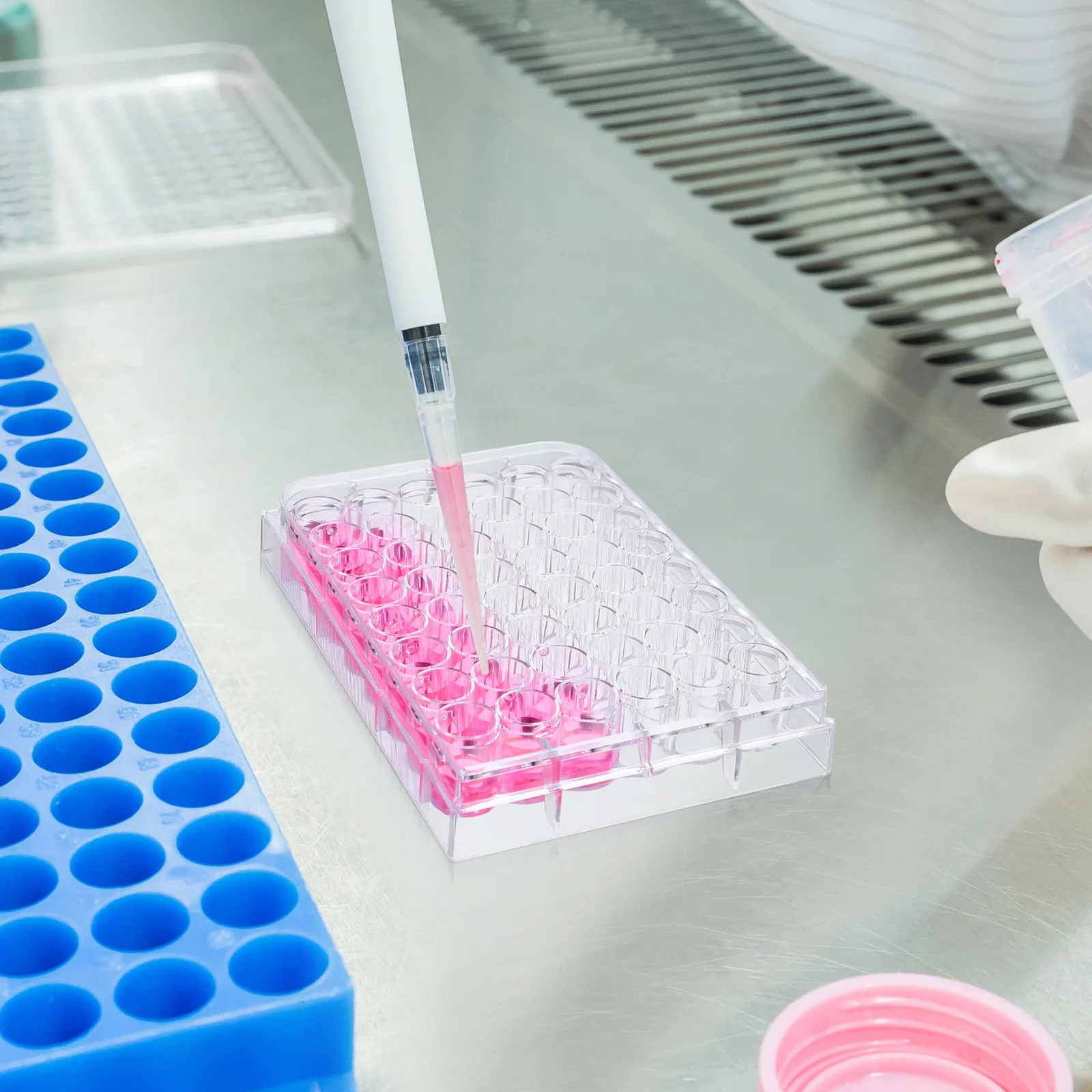

48 Well Cell Culture Plate Clear Plastic Tissue Culture Plates with Raised Rim Lids for Laboratory Cell Experiment Container