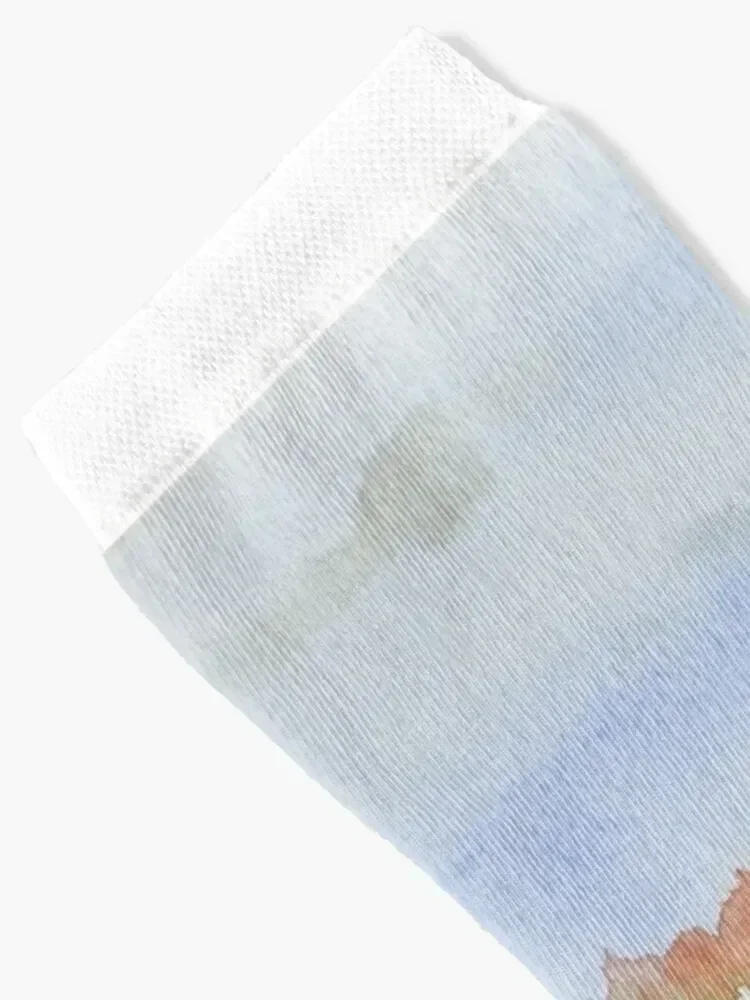 Colpoy's Bay From Skinners Bluff Socks cool soccer anti-slip Christmas new year Socks Ladies Men's