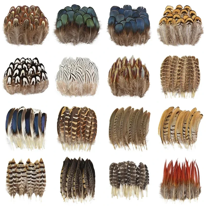 Wholesale Natural Chicken Peacock Goose Pheasant Feather Small Feathers for Crafts Handicraft Accessories DIY Jewelry Decoration