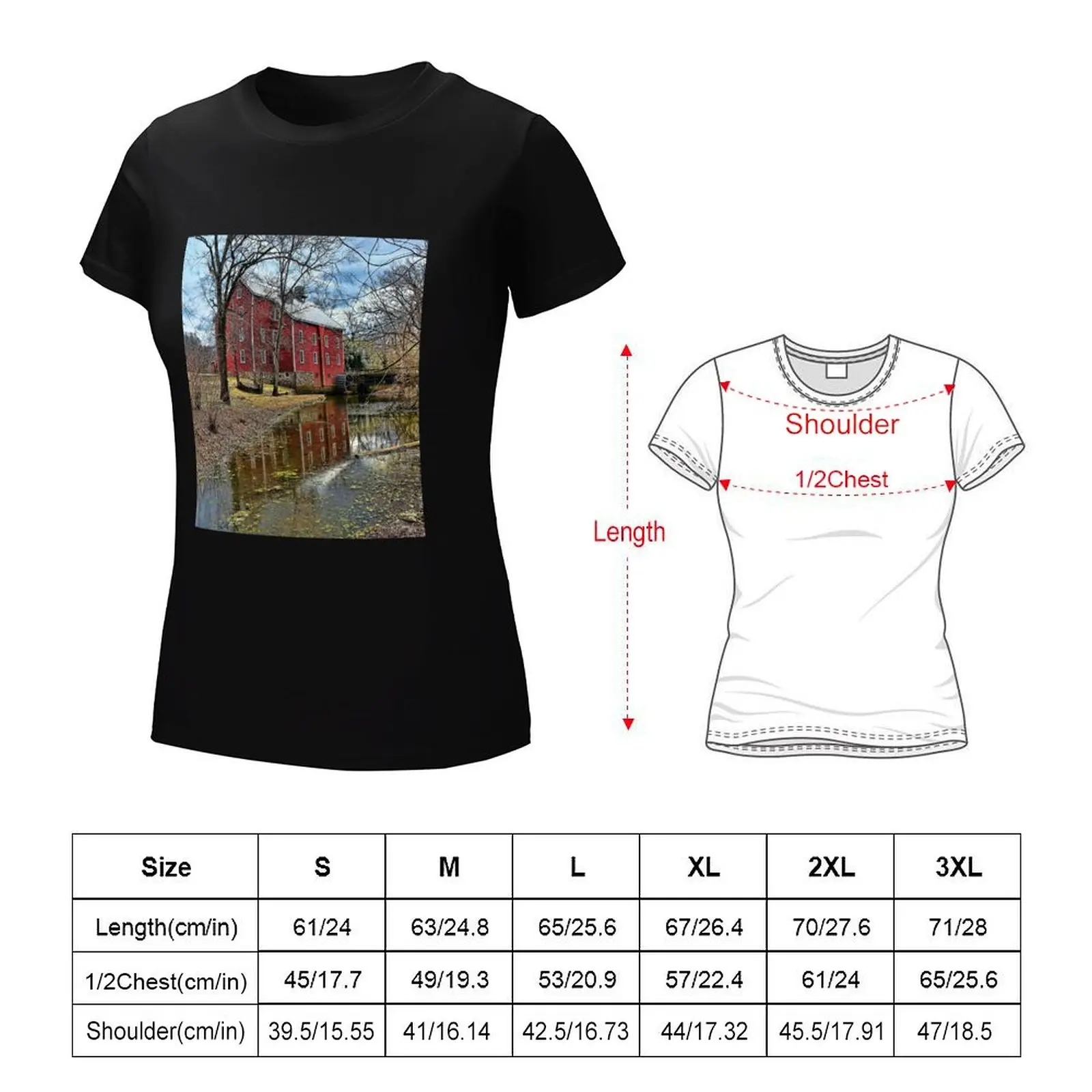 New Jersey Historical Site T-Shirt Aesthetic clothing tops kawaii clothes oversized Top Women
