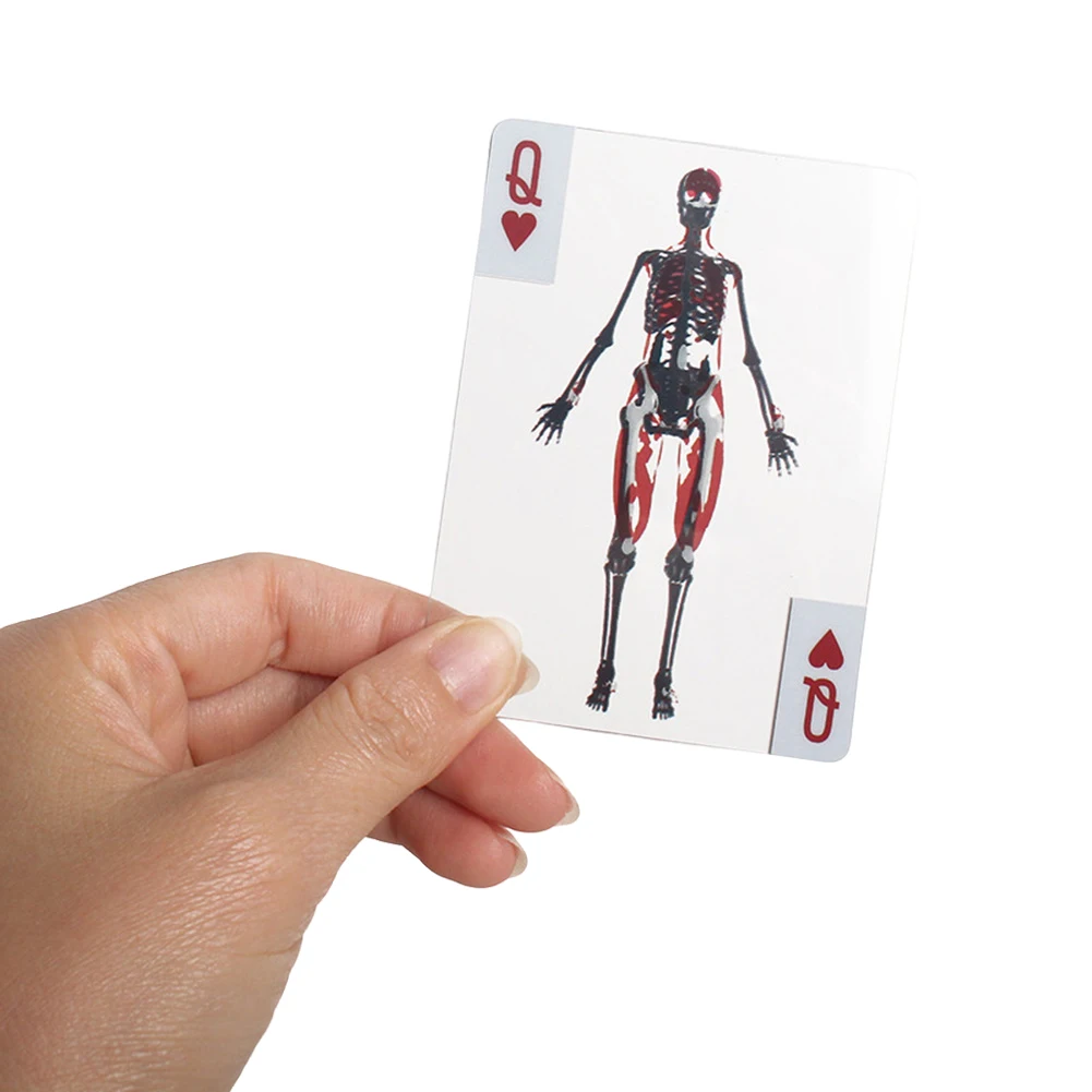 Karty edukacyjne 3D z obrazkami, wielokrotnego użytku, przezroczyste karty do gry, uniwersalne karty do gry z anatomią człowieka dla kolekcjonerów kart.