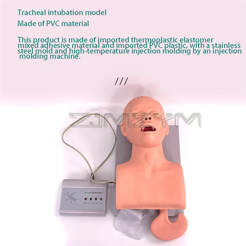 Adult Intubation Manikin Study Teaching Model Airway Management Trainer PVC With Teeth 110-220V